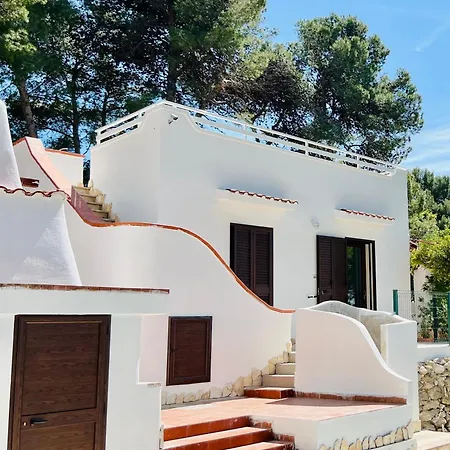 Calipso * タラント